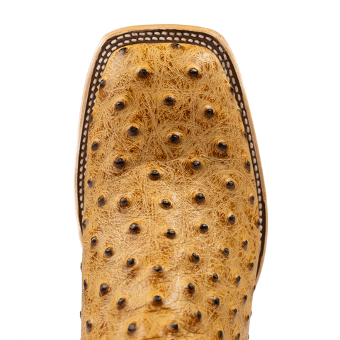 Horse Power Men's Saddle Ranch Ostrich Print Square Toe Cowboy Boot