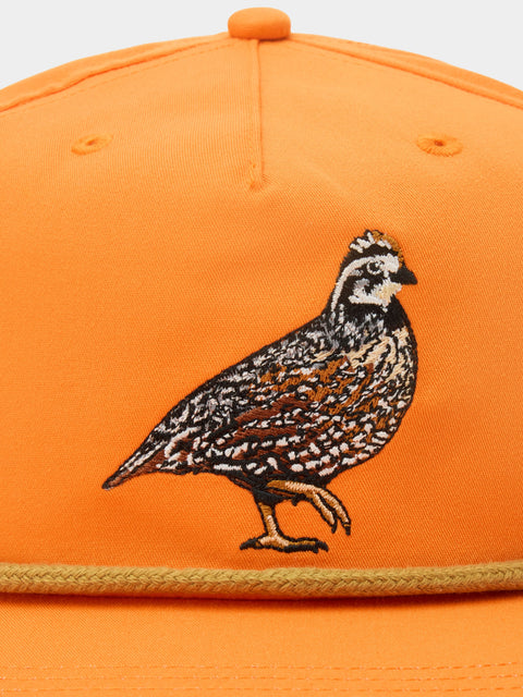 Duck Camp Bobwhite Quail Hat - Blaze